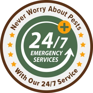 24/7 Badge