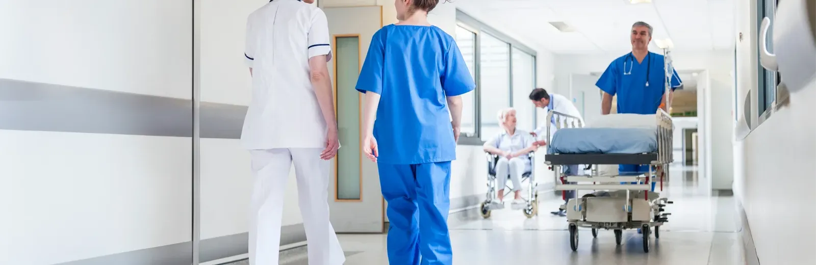 hospital healthcare pest control