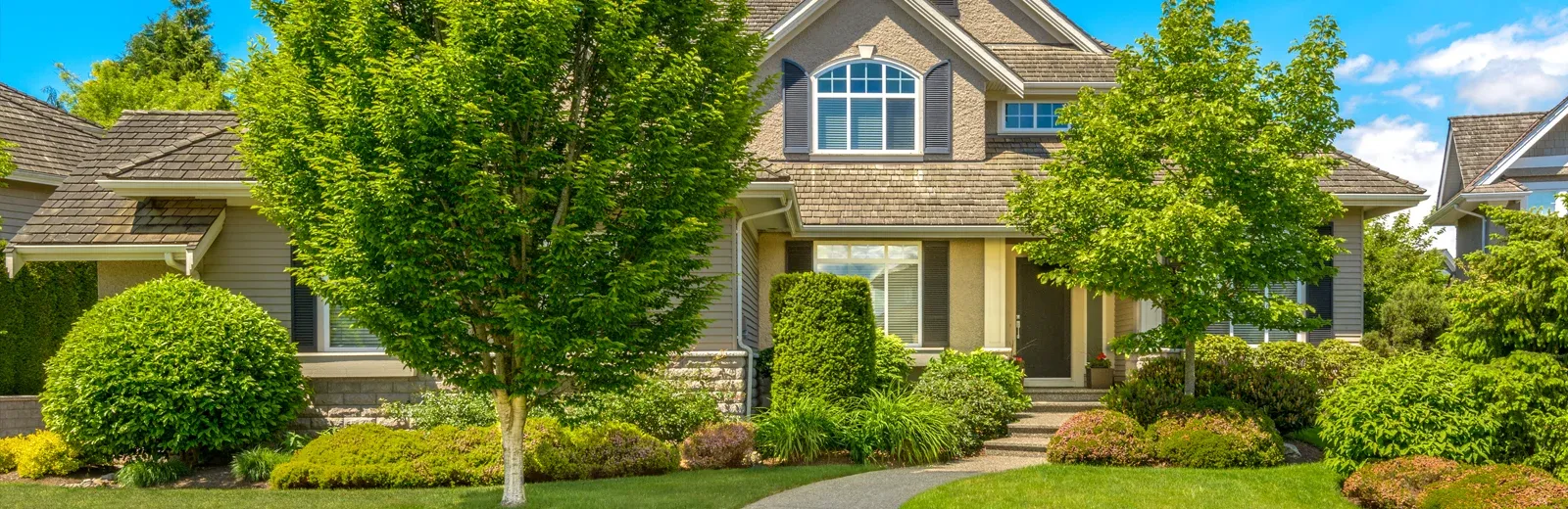 termite free home